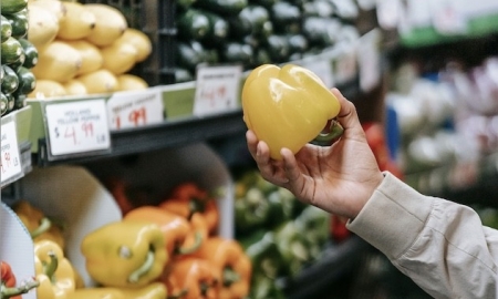 Bio- en ecoproducten